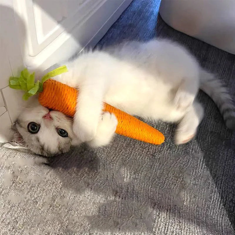 KOCIA MARCHEWKA 🥕🥕🥕